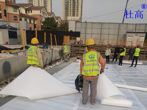 金雞湖湖底隧道頂部防水工程-杜高HDPE阻根型防水卷材