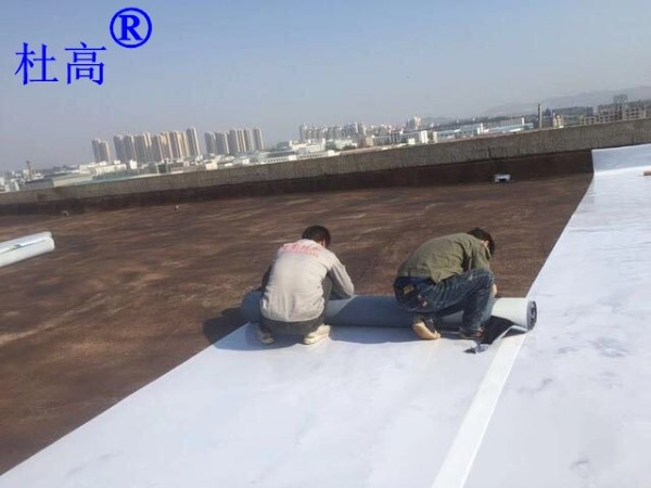 魯蒙防水公司分享杜高牌高分子自粘防水卷材施工要求