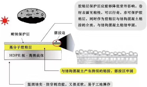 杜高牌聚乙烯丙綸復合（SBC）防水卷材