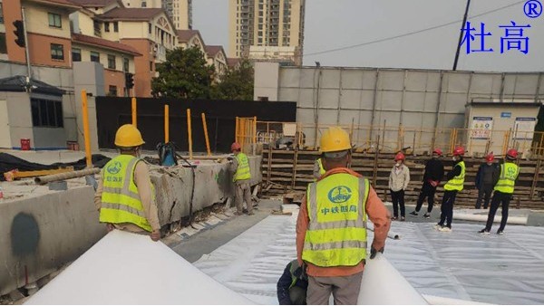 金雞湖湖底隧道頂部防水工程-杜高HDPE阻根型防水卷材